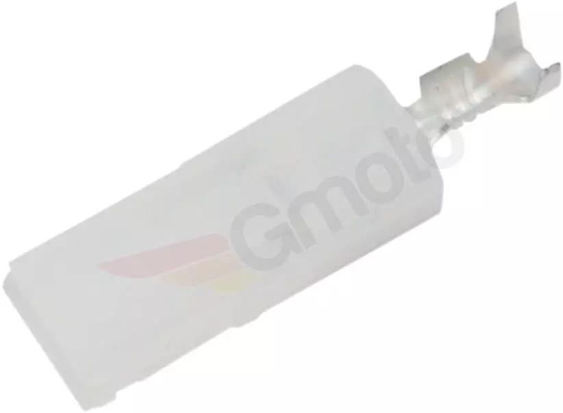 gmoto-1274114