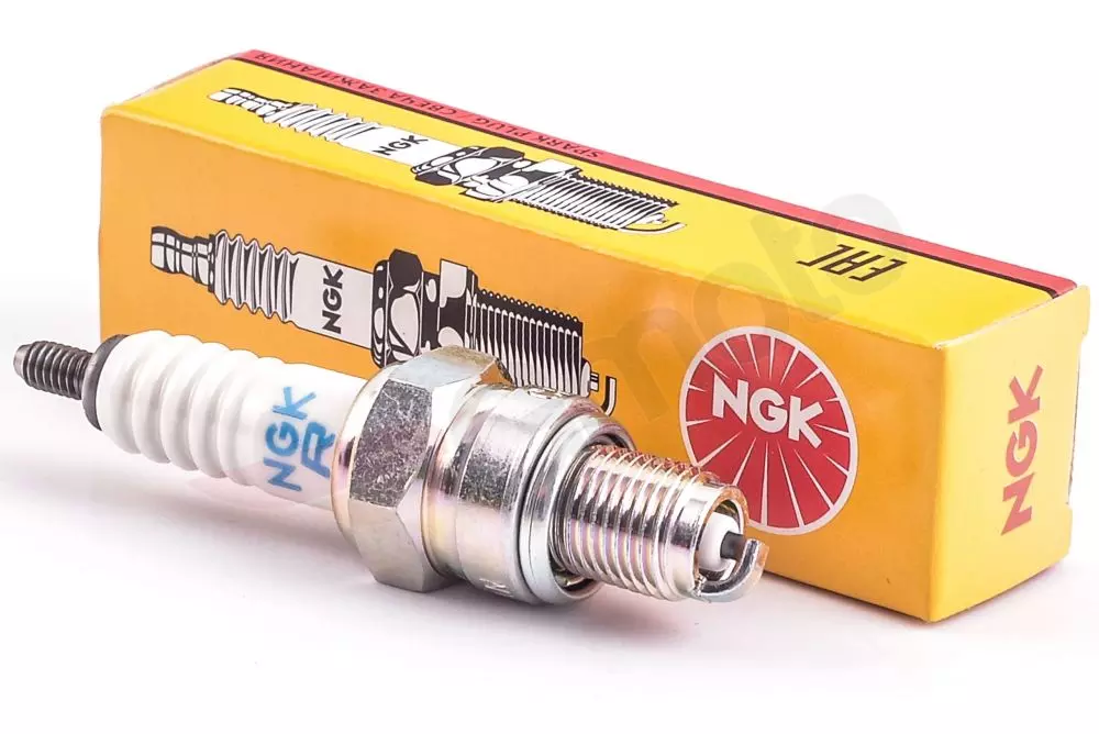 gmoto-1336322