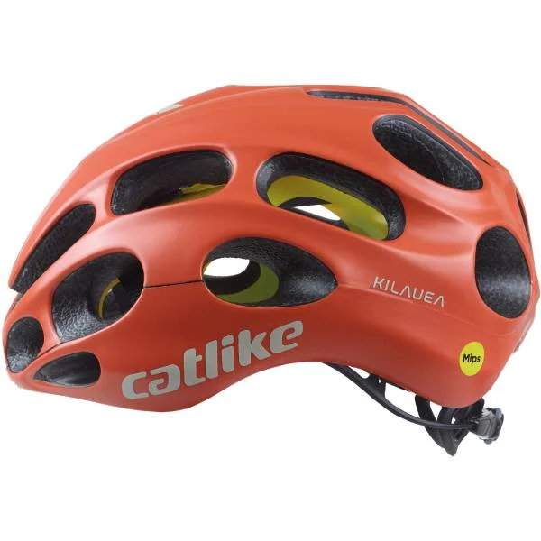 hollandbikeshop2-1287858