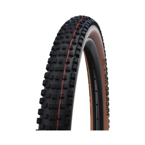 hollandbikeshop2-1304967