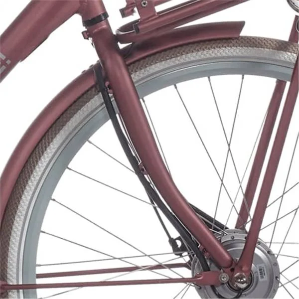 hollandbikeshop2-1306113