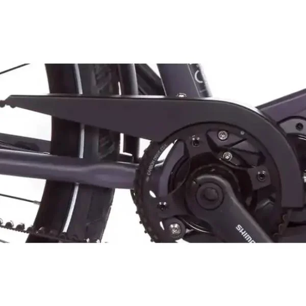 hollandbikeshop3-25418